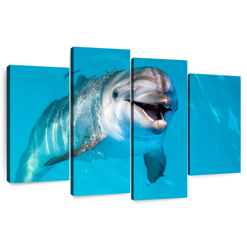 Brampt Dolphin's Smile, 54" H x 84" W