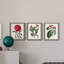 Ensemble de 3 peintures sur toile Roseat Blooms IV-1642987167-1642987166