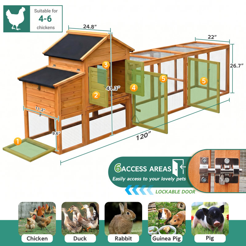 Poulailler en bois avec nichoir et enclos, poulailler résistant aux intempéries pour 4 à 6 poulets, bois de sapin orange