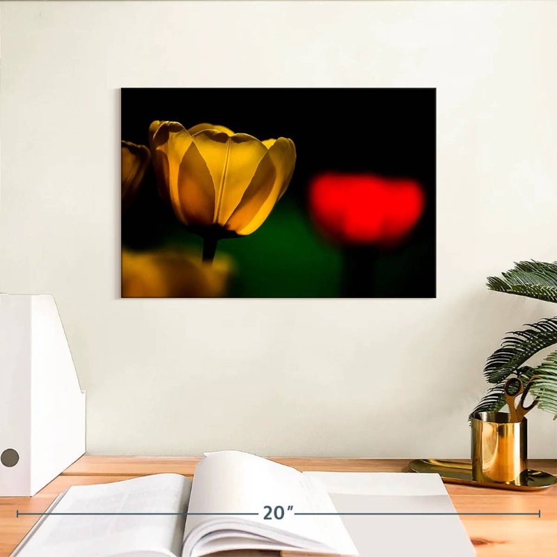Harnek tulipes jaunes en fleurs, H 8 po x l 12 po