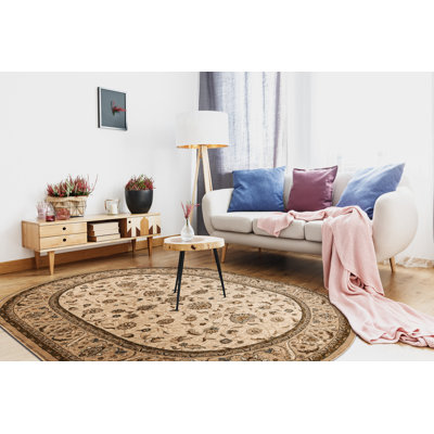 Oval Derly Oriental Wool Area Rug