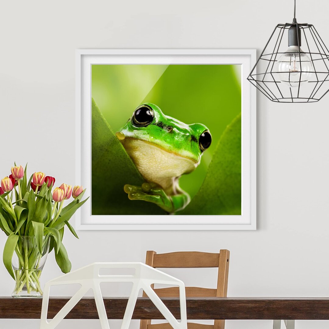 Gerahmtes Papierbild Wetterfrosch