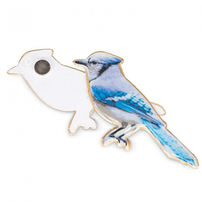 Aimant à deux côtés Blue Jay