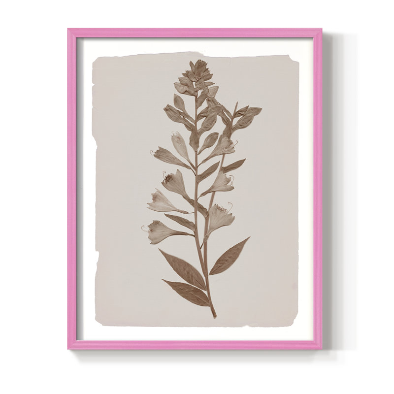Impression botanique monochrome I - bois massif, H 15 po x l 12 po, Rose