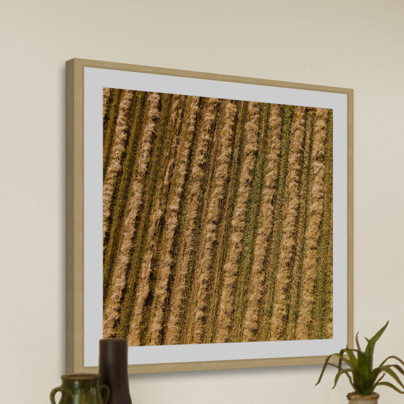 Single Picture Frame Print, 51 cm H x 51 cm W x 3.81 cm D
