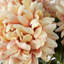 Plastic, Silk Artificial Arrangement-89222314