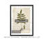 « palm botanique iii »-impression sur toile-654948721-654949103