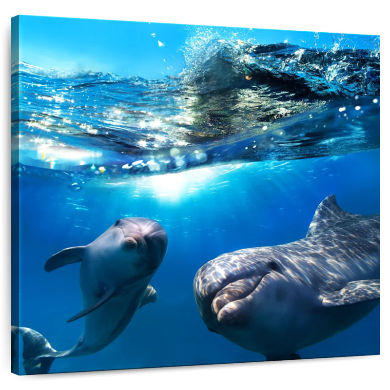 Brampt Playful Dolphins, 16" H x 16" W