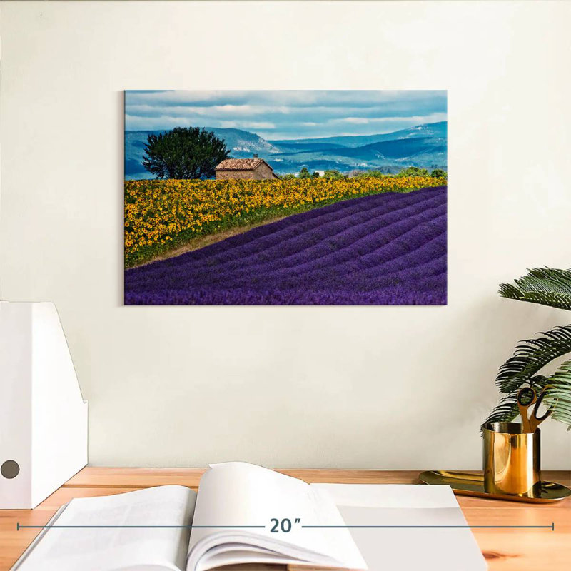 Vanna Valensole Lavender And Sunflowers
