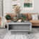Caomhan Pedestal Coffee Table with Storage