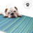 Outdoor Rug Plastic Straw Rug Waterproof Patio Amyree-1094416136-1094416157