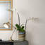 Brynner Adjustable Metal Desk Lamp