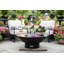 48” Harrogate Steel Wood Burning Fire Pit with Lid