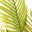 Faux Dictyosperma Tree in Pot-1891247034