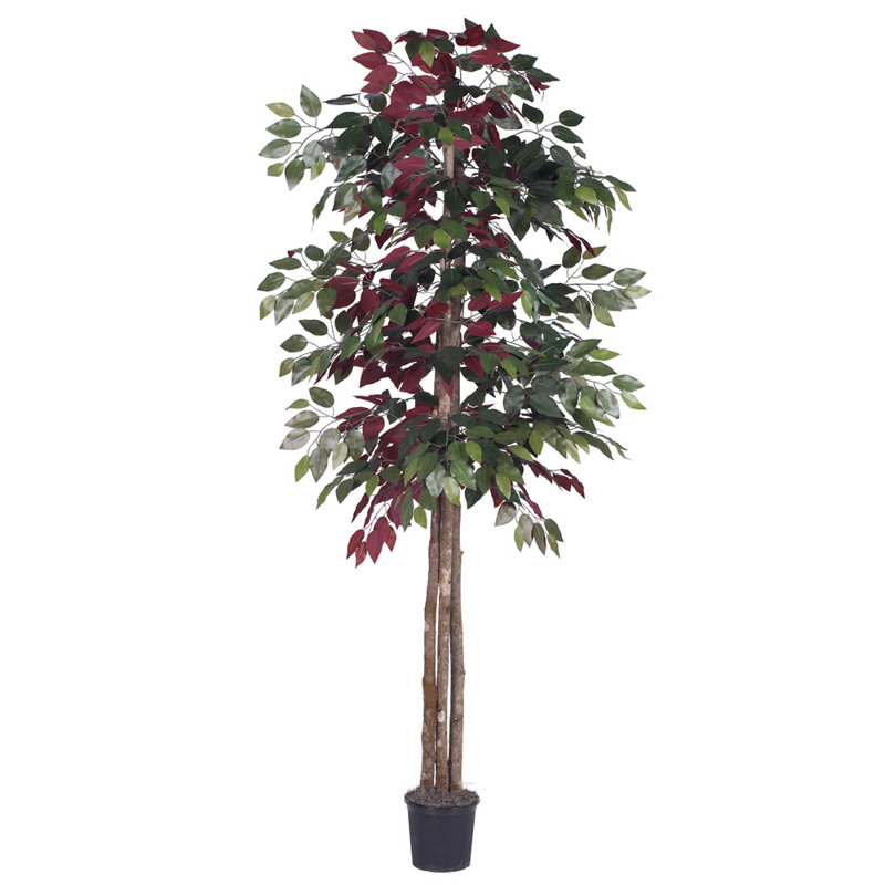 Plante artificielle de 72 po Capensia