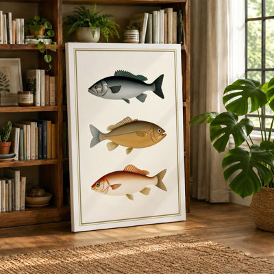 Three Fish Study Vintage - Wrapped Canvas