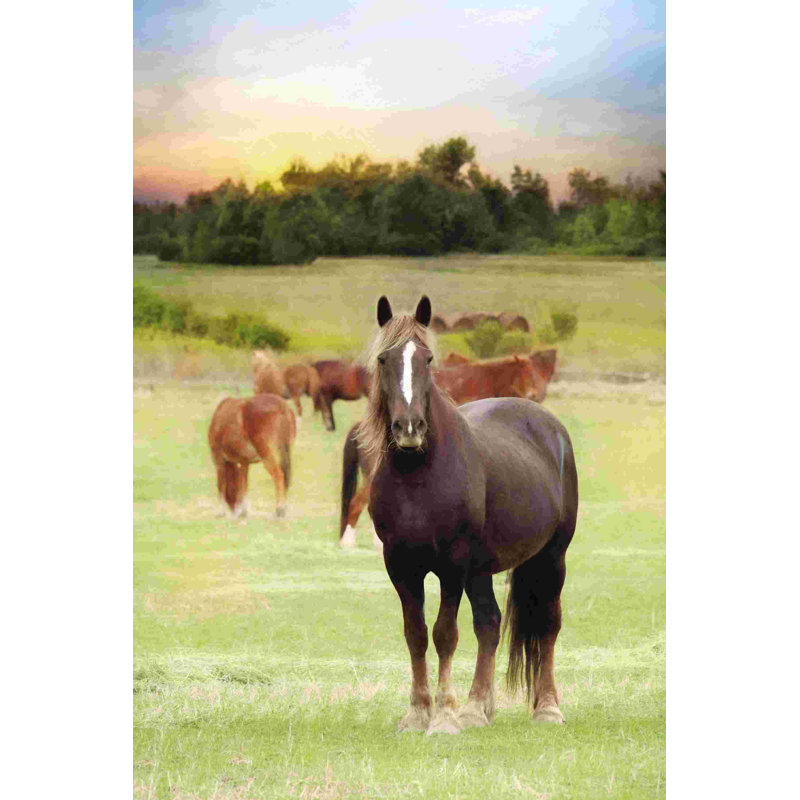Jackson Horse Farm 2884966, L 8 po x H 12 po