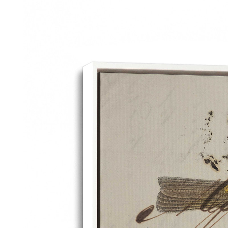 Reproduction d'art «Willow Warbler» par Deborah Revell, L 48 x H 32, Blanc, Toile avec cadre