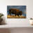 Brampt Walking American Bison-107691917
