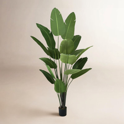Birch Lane™ Artificial Bird of Paradise in Pot with Dried Moss, UV Resistant, 4 / 5 / 6 / 7 Feet