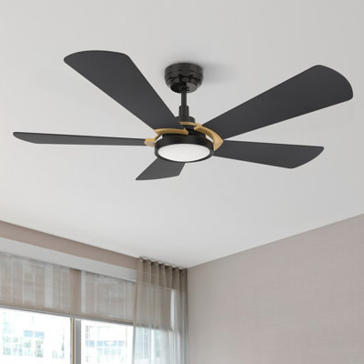 Ventilateur de plafond extérieur noir avec lumière