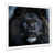 White Picture Framed