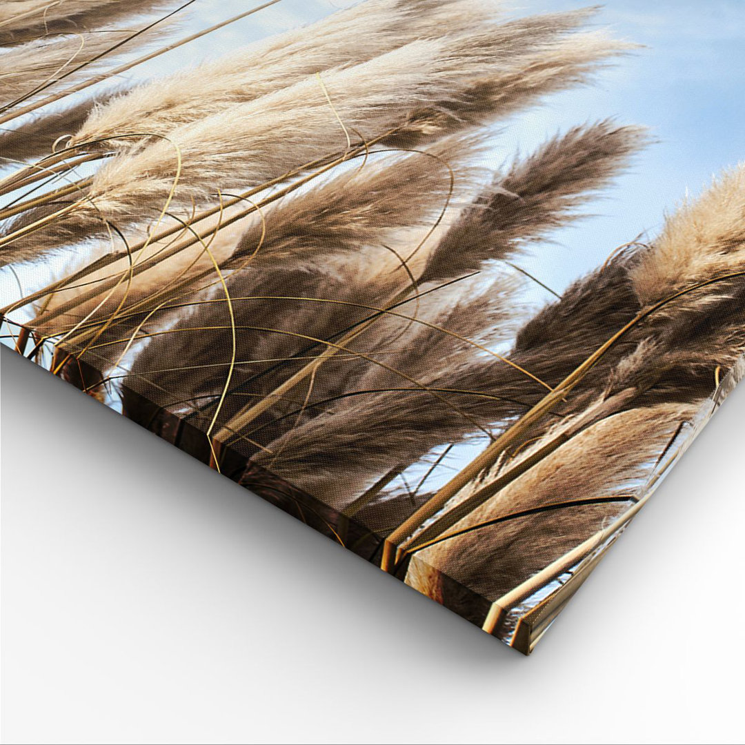 Leinwandbild Cane Sky Boho