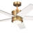 Bhram 48'' Ceiling Fan with LED Lights