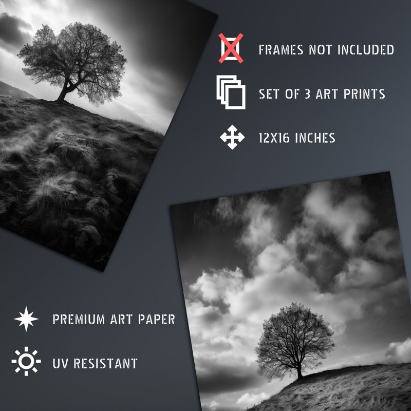 Lone Tree On A Hill Black White Countryside Field Landscape - 3 Piece No Frame Print Set, 40.5cm H x 30.5cm W x 0.3cm D