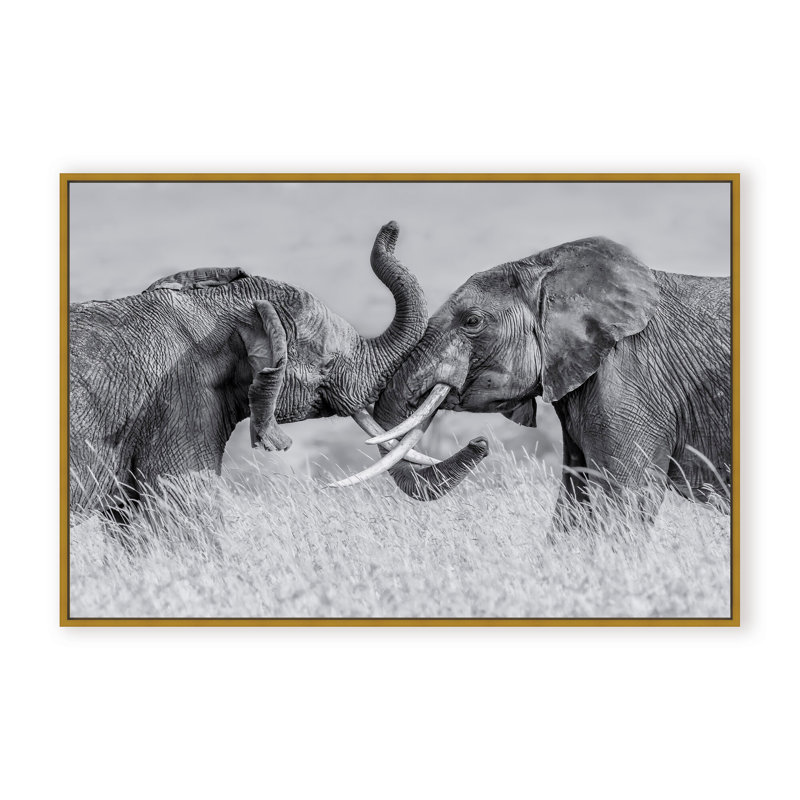 Nature Inspired Elephant Tai Chi by  - Picture Frame Photograph on Paper, 24" H x 36" W x 1.125" D, Black