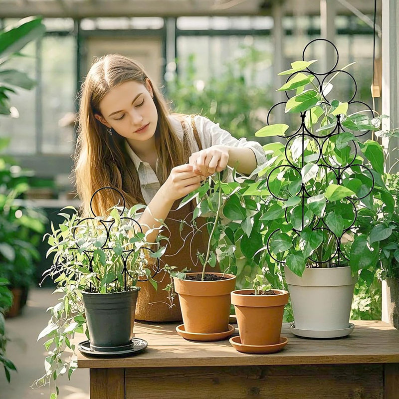 Treillis pour plantes grimpantes d'intérieur, paquet de 4