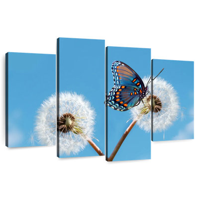 Brampt papillon sur pissenlit