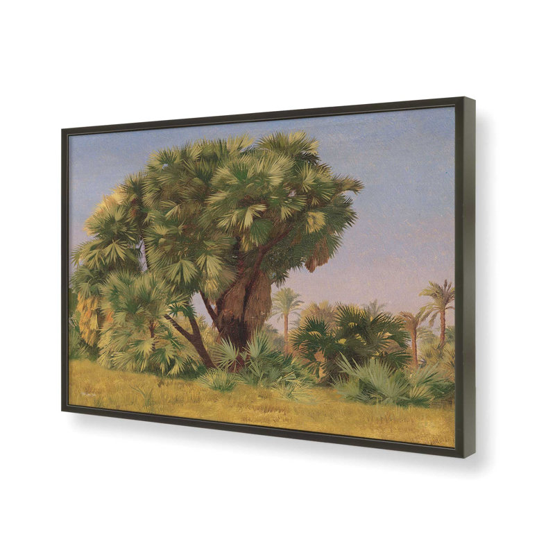 «Study of Palm Trees» par Stellar Design Studio, reproduction d'art, L 40 x H 30, Black, Impression encadrée