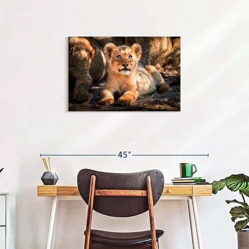 Lion safari Brampt, H 20 po x l 30 po
