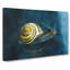 Yellow Snail - Wrapped Canvas-61881190