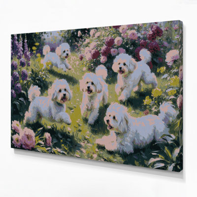 Dogs Bichon Frise Gray Canvas Wall Art