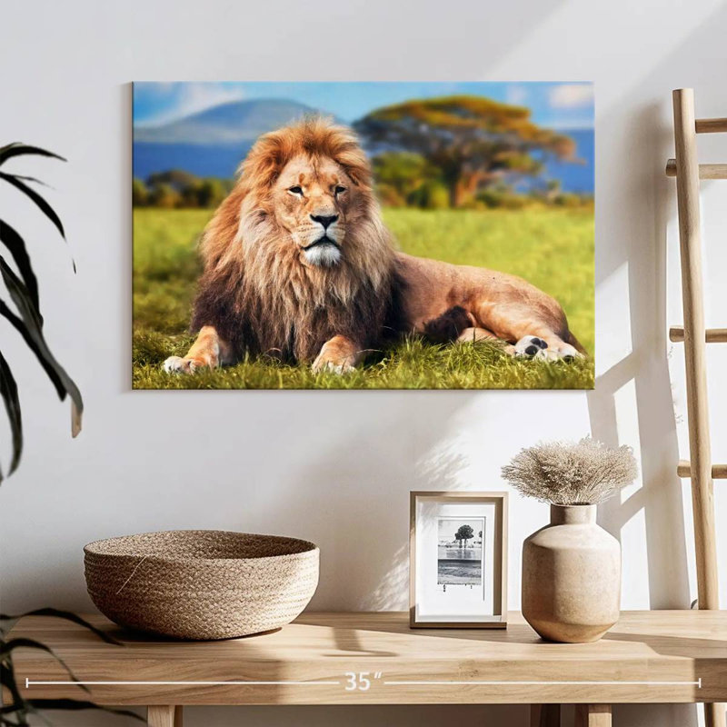 Chill Safari Lion, 16" H x 24" W