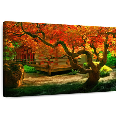 Harnek Japan Autumn Tree