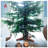 Christmas Live Tree Stand