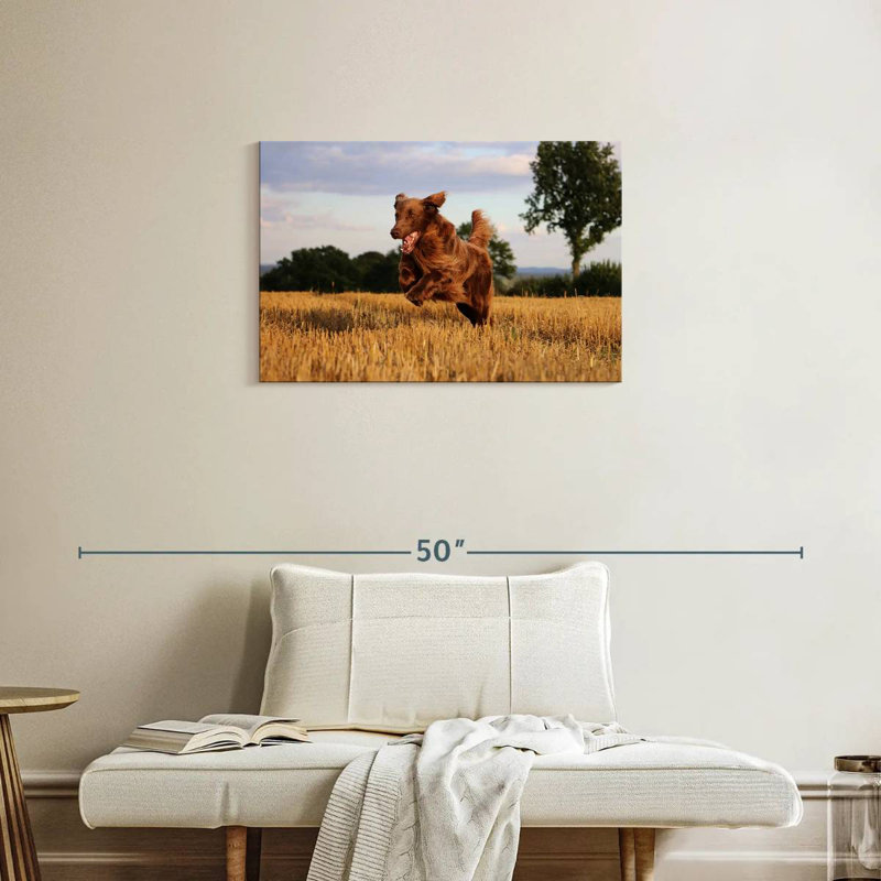 Happy retriever brun, H 20 po x l 30 po