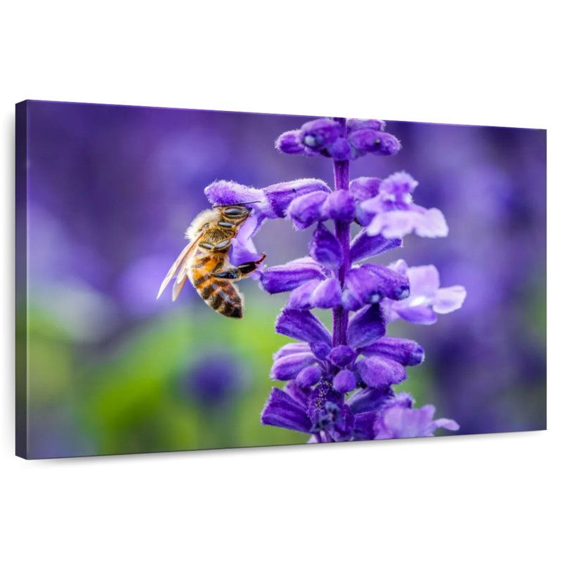 Brampt Flower And Bee, 26" H x 39" W