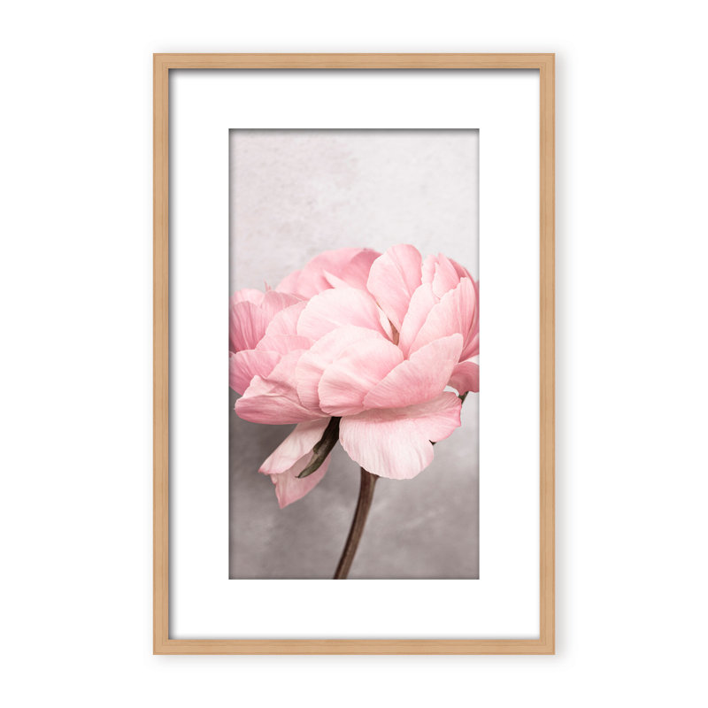 Nature Inspired Peony by  - Picture Frame Photograph on Paper, 24" H x 16" W x 1.125" D, Black, Framed Matted Print