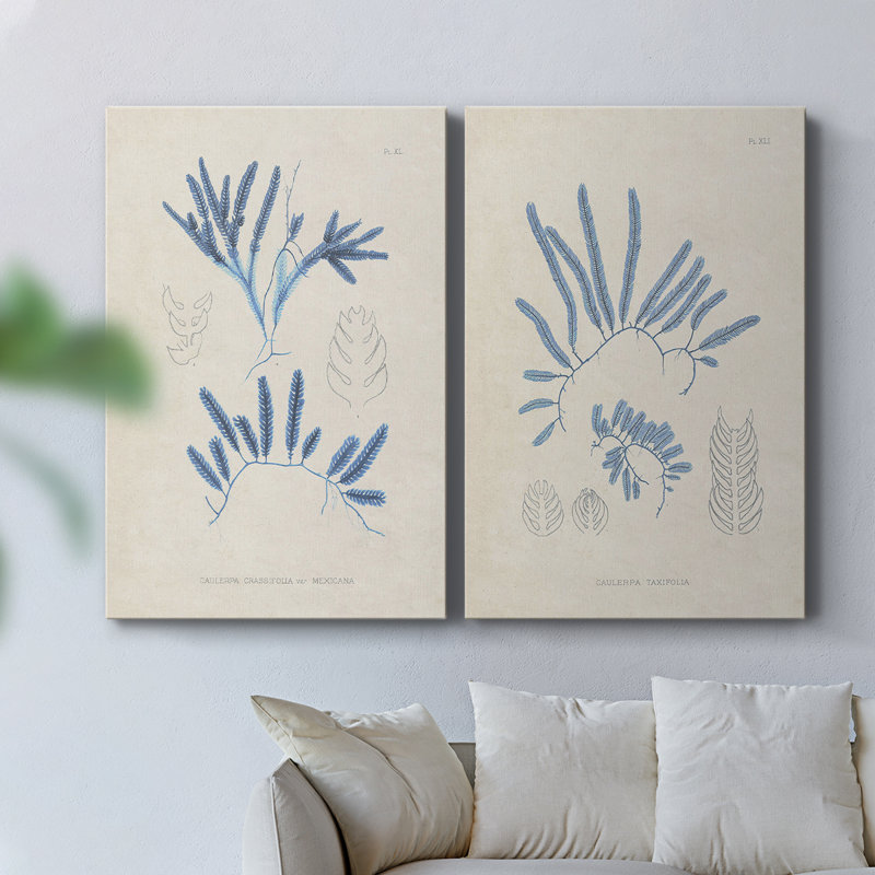 Blue Marine Algae I-Premium Gallery Wrapped Canvas -Ready to Hang, 27" H x 36" W