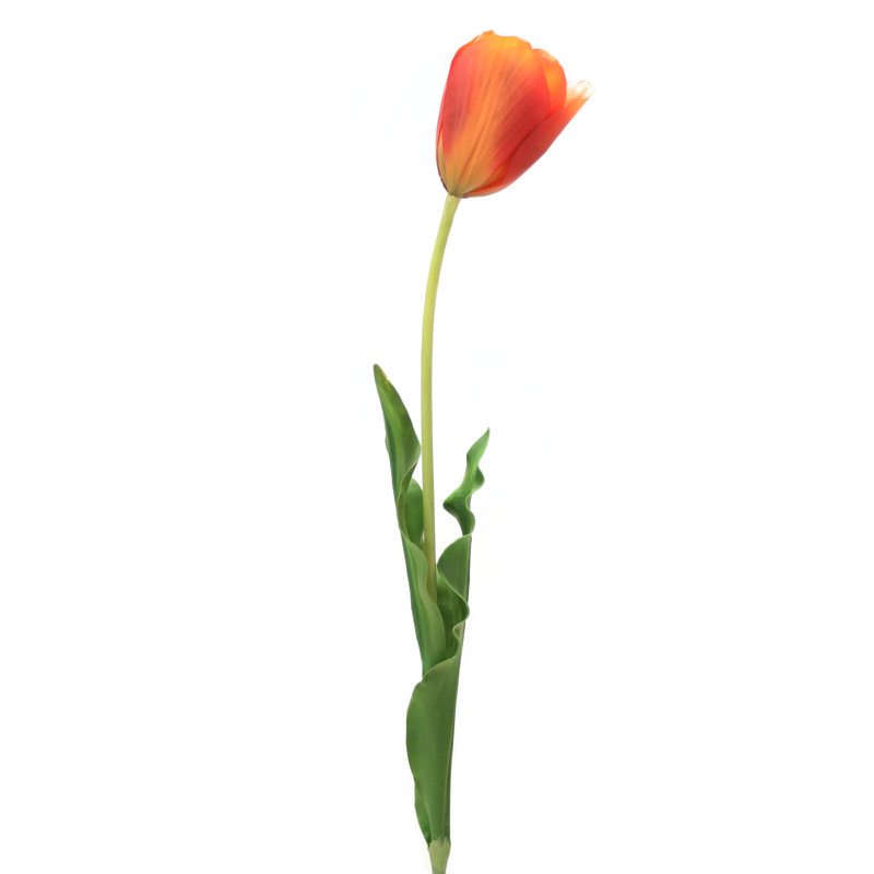 Grande tulipe ouverte de 31 po, Orange