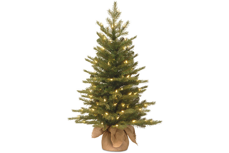 Nordic Spruce 2.5' Green Spruce Artificial Christmas Tree with 100 Clear/White Lights