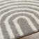 Whitlatch Charcoal Shag Area Rug