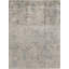 Windsom Oriental Area Rug in Beige