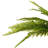 Green Artificial Leather Fern Bush-1205312912