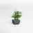Millsaps 18'' Faux Bamboo Plant in Decorative Pot-995214644