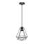 Rane 1 - Light Black Geometric Pendant